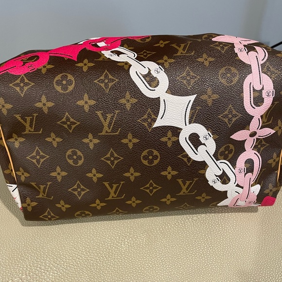 Louis Vuitton Speedy Limited Edition - Picture 8 of 14